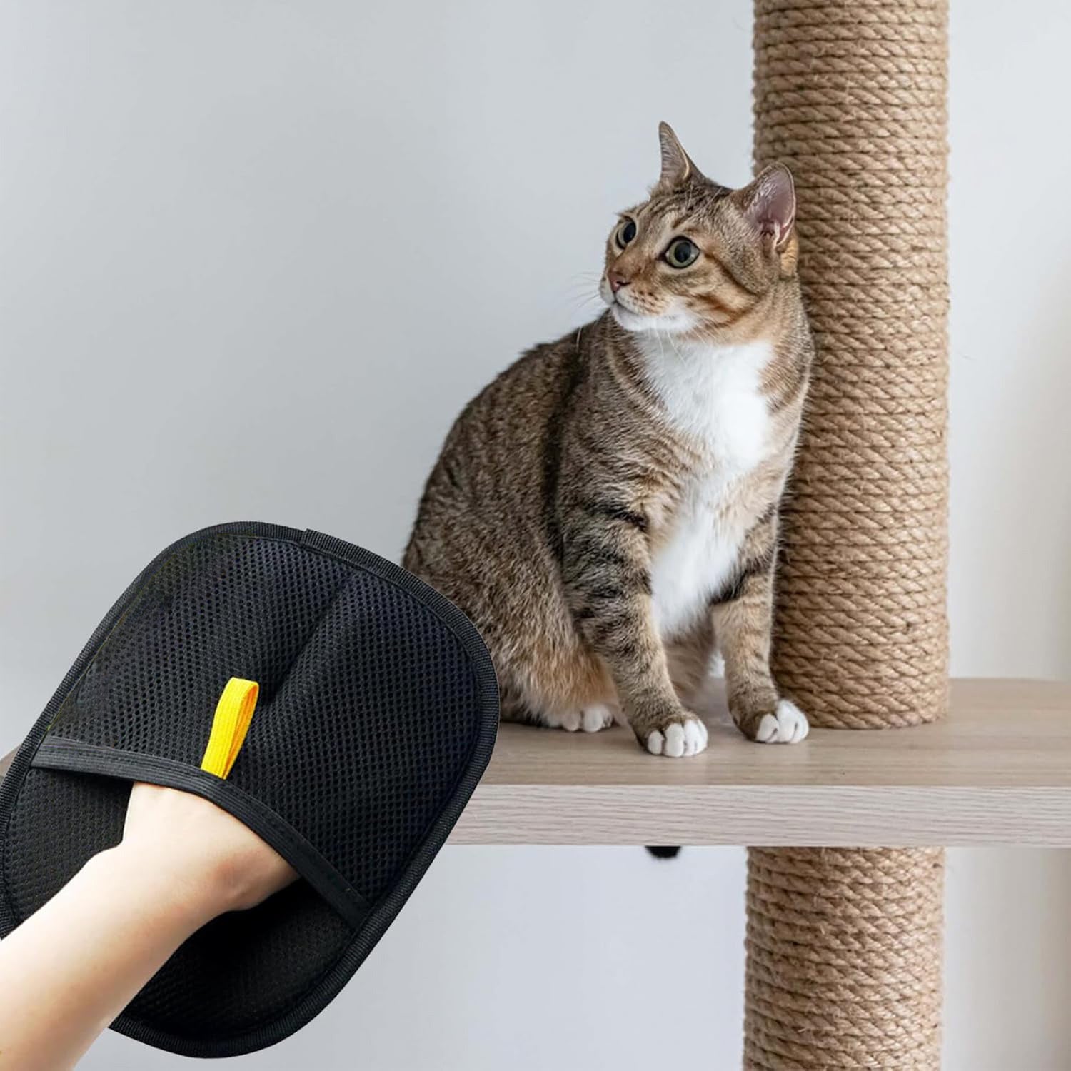 Two-Way Pet Grooming Glove